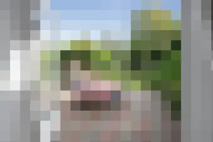 Franz Schubertlaan 10 Heemstede thumbnail 10