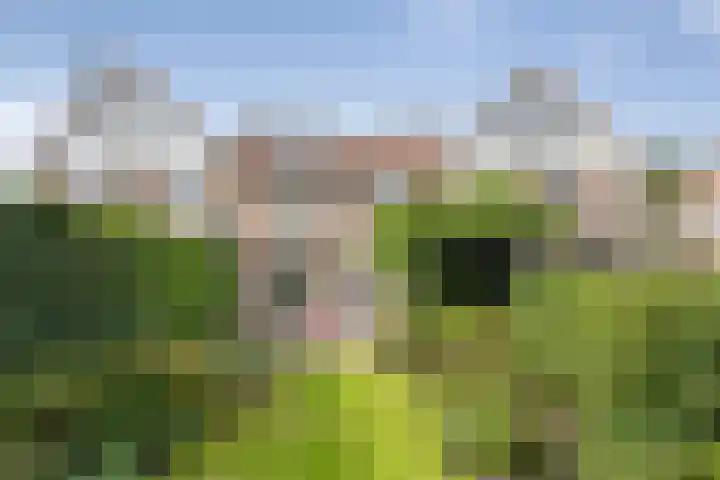 Franz Schubertlaan 10 Heemstede thumbnail 12