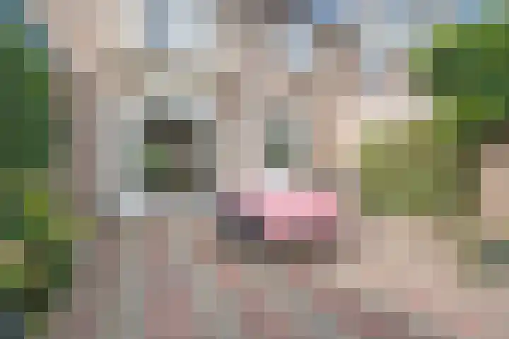 Franz Schubertlaan 10 Heemstede thumbnail 13