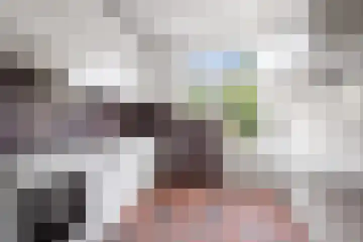 Franz Schubertlaan 10 Heemstede thumbnail 14