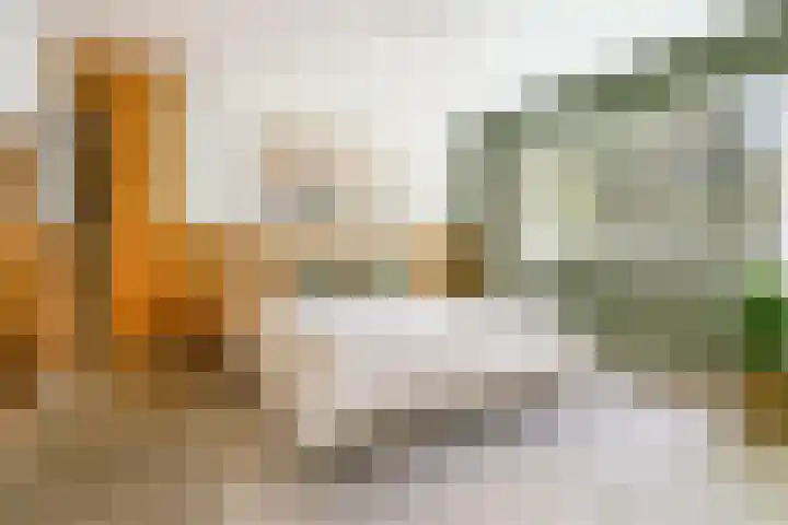 Franz Schubertlaan 10 Heemstede thumbnail 18