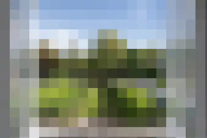 Franz Schubertlaan 10 Heemstede thumbnail 24