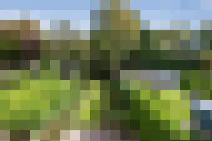 Franz Schubertlaan 10 Heemstede thumbnail 25
