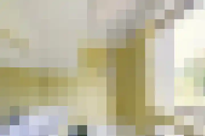 Franz Schubertlaan 10 Heemstede thumbnail 27
