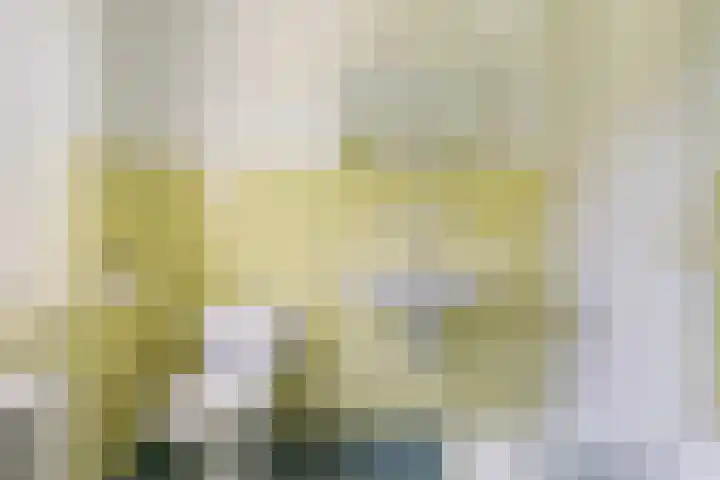 Franz Schubertlaan 10 Heemstede thumbnail 28