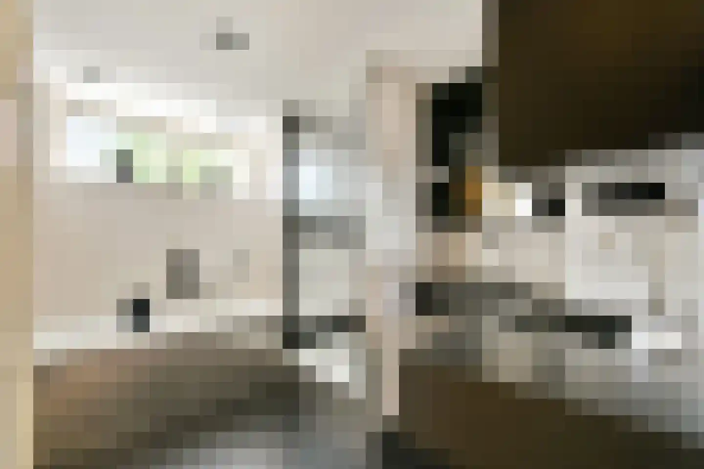 Franz Schubertlaan 20 Heemstede thumbnail 22