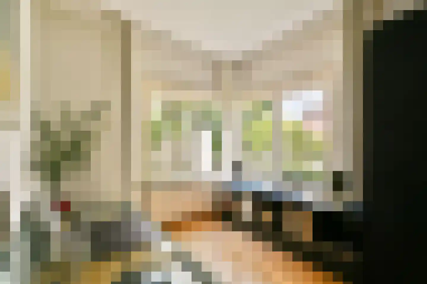 Franz Schubertlaan 20 Heemstede thumbnail 7