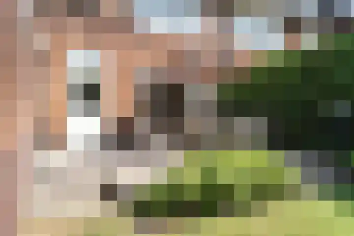 Franz Schubertlaan 67 Heemstede thumbnail 23