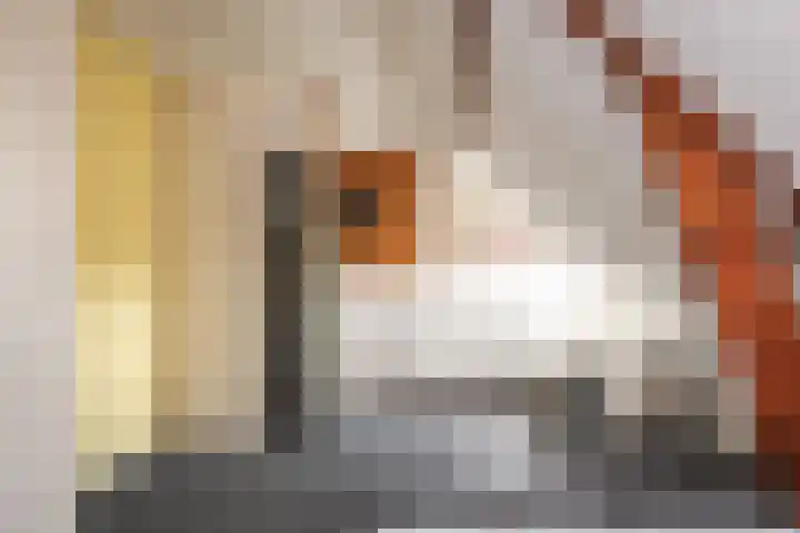 Franz Schubertlaan 67 Heemstede thumbnail 38