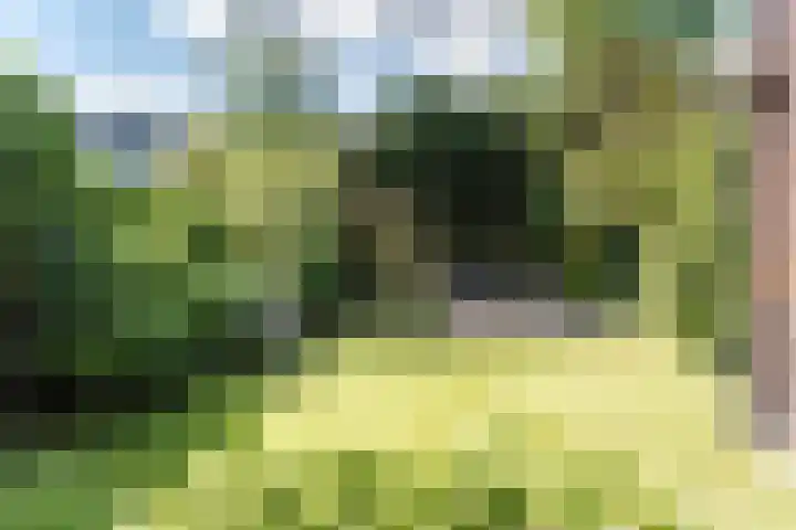 Franz Schubertlaan 67 Heemstede thumbnail 4
