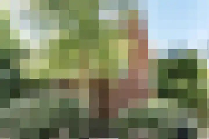 Franz Schubertlaan 67 Heemstede thumbnail 45