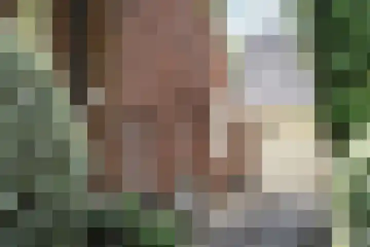 Franz Schubertlaan 67 Heemstede thumbnail 6