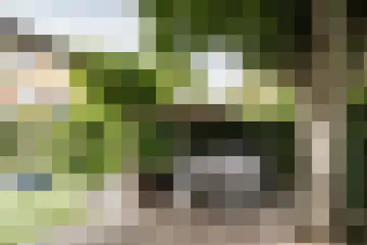 Franz Schubertlaan 68 Heemstede thumbnail 21