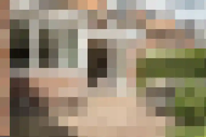 Franz Schubertlaan 68 Heemstede thumbnail 25