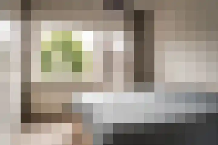 Franz Schubertlaan 68 Heemstede thumbnail 30