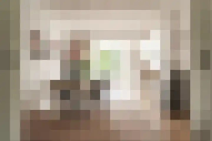 Franz Schubertlaan 68 Heemstede thumbnail 4