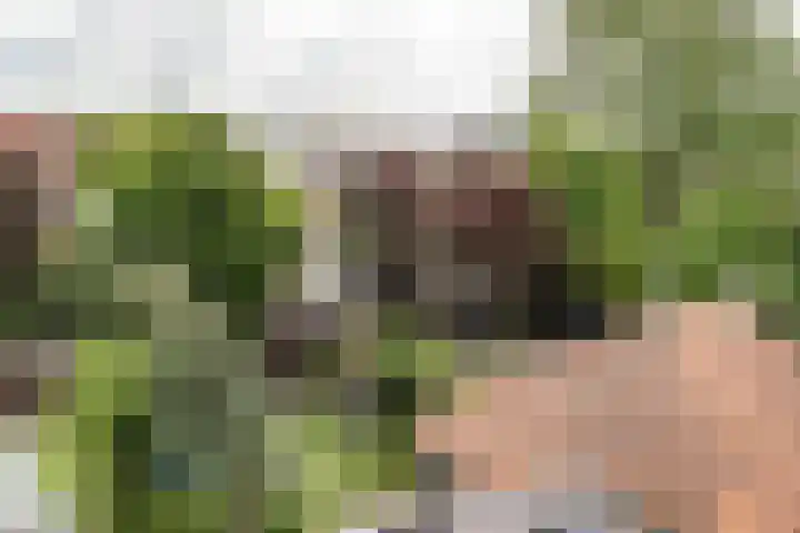 Franz Schubertlaan 68 Heemstede thumbnail 41