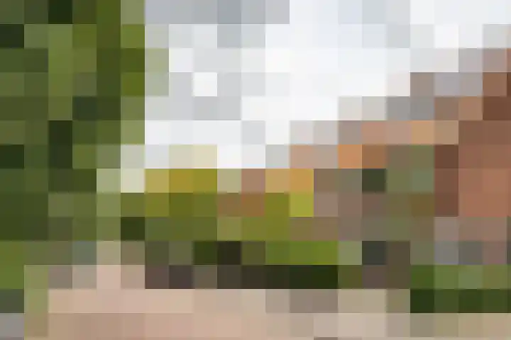 Franz Schubertlaan 68 Heemstede thumbnail 51