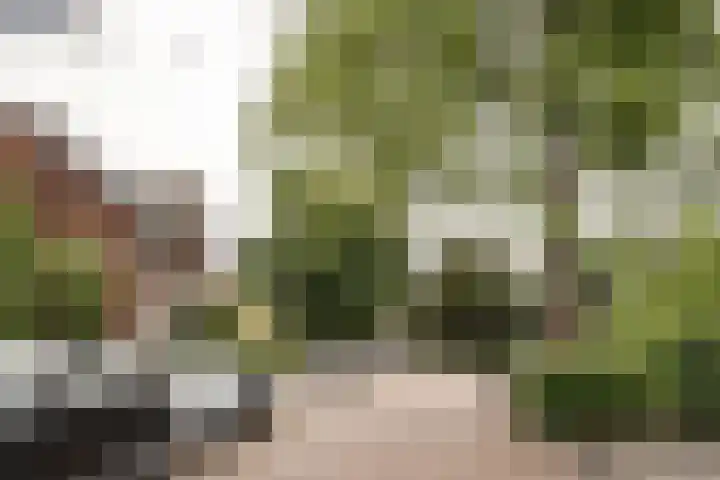 Franz Schubertlaan 68 Heemstede thumbnail 52