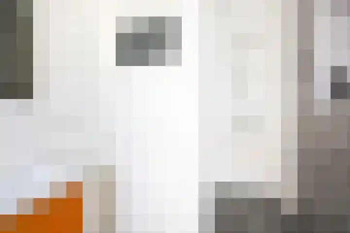 Franz Schubertstraat 16 Utrecht thumbnail 32