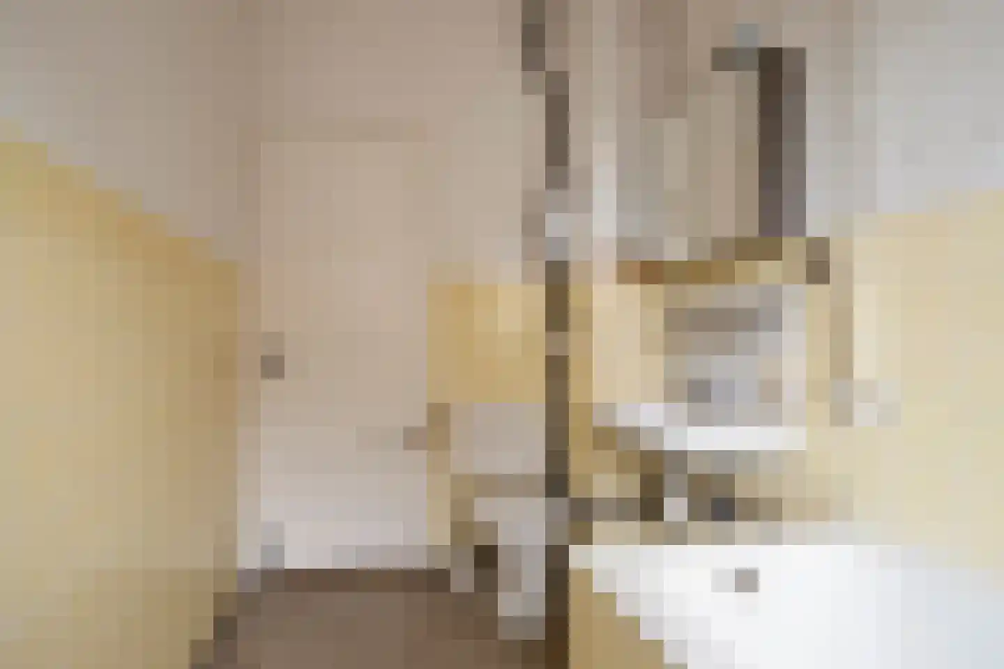 Franz Schubertstraat 40 Utrecht thumbnail 16