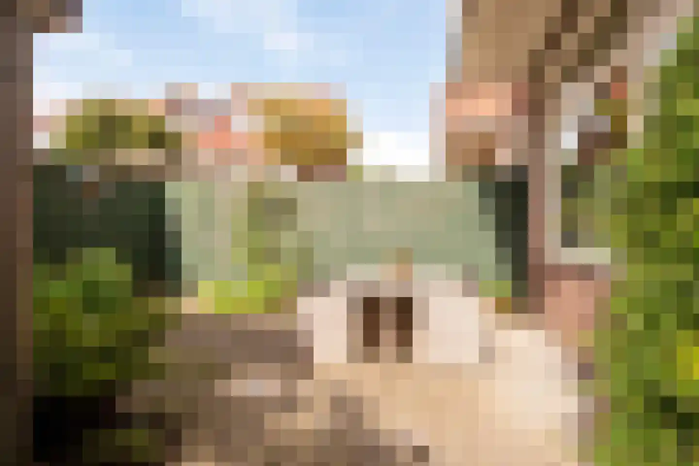 Franz Schubertstraat 40 Utrecht thumbnail 27