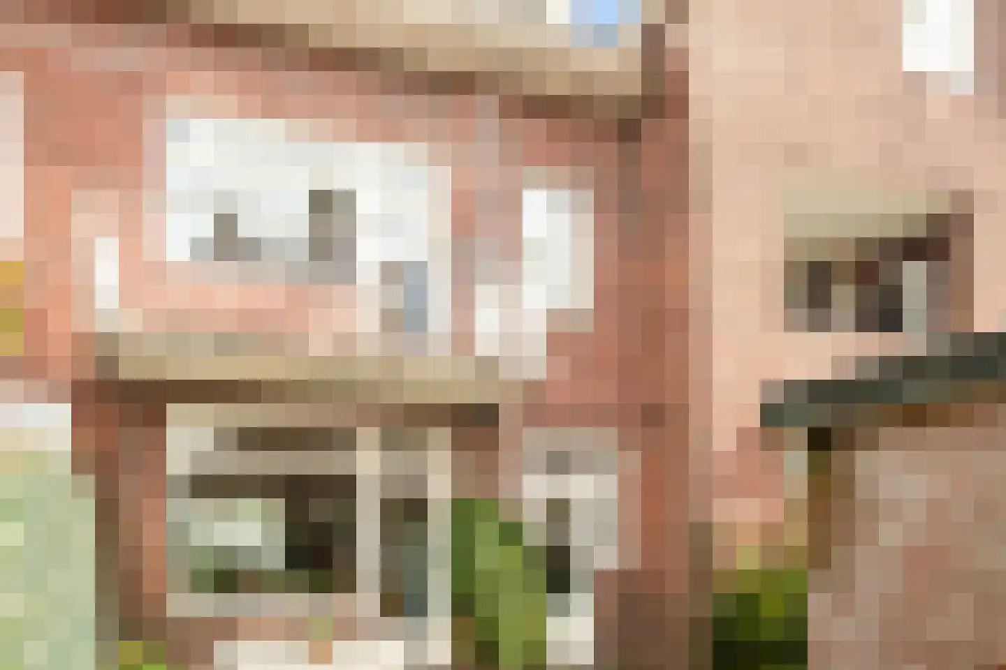 Franz Schubertstraat 40 Utrecht thumbnail 30