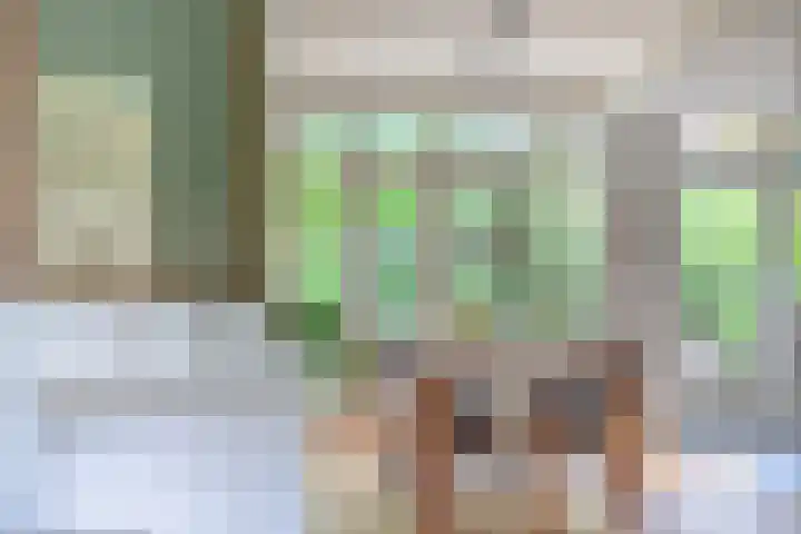 Franz Schubertstraat 9 Utrecht thumbnail 21