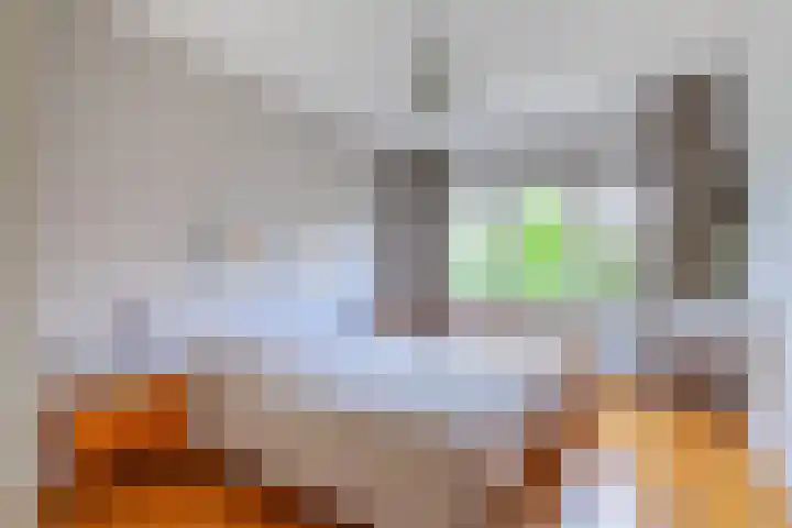 Franz Schubertstraat 9 Utrecht thumbnail 36