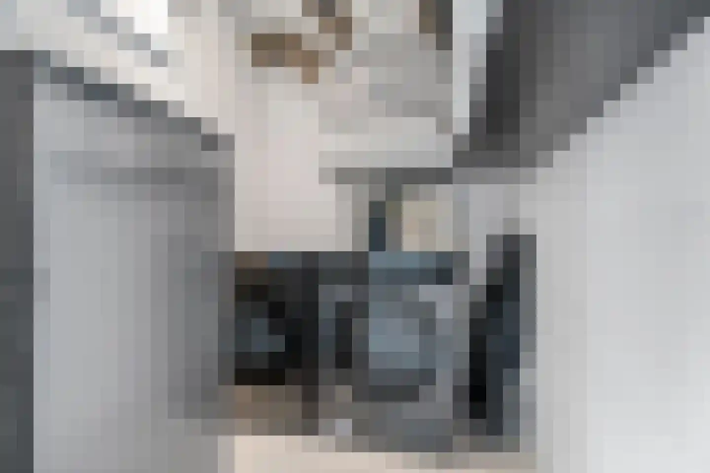 Franz Zieglerstraat 126 Amsterdam thumbnail 30