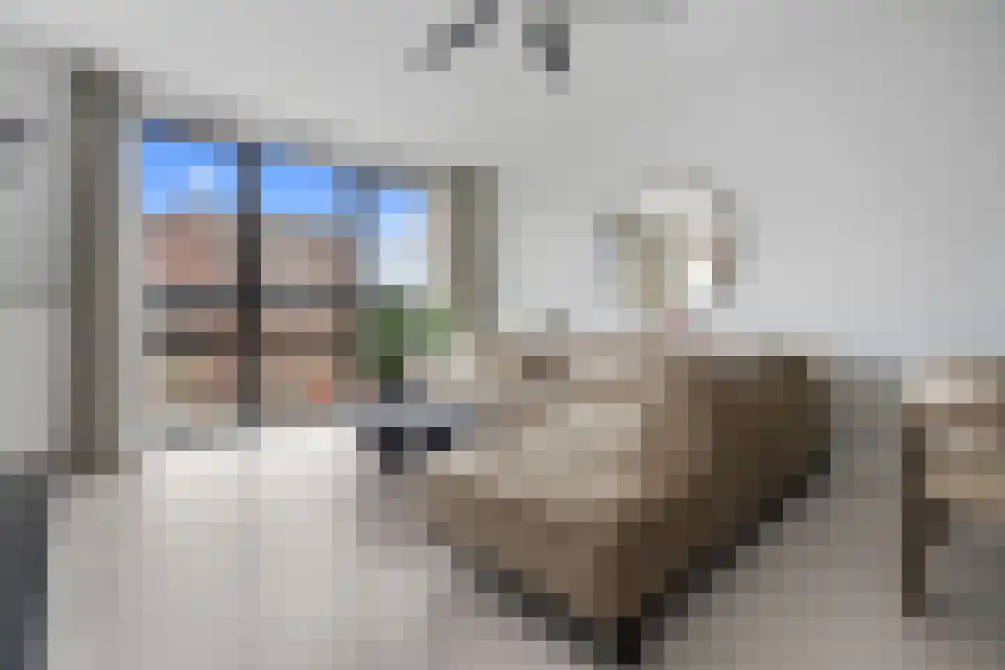 Franz Zieglerstraat 126 Amsterdam thumbnail 5