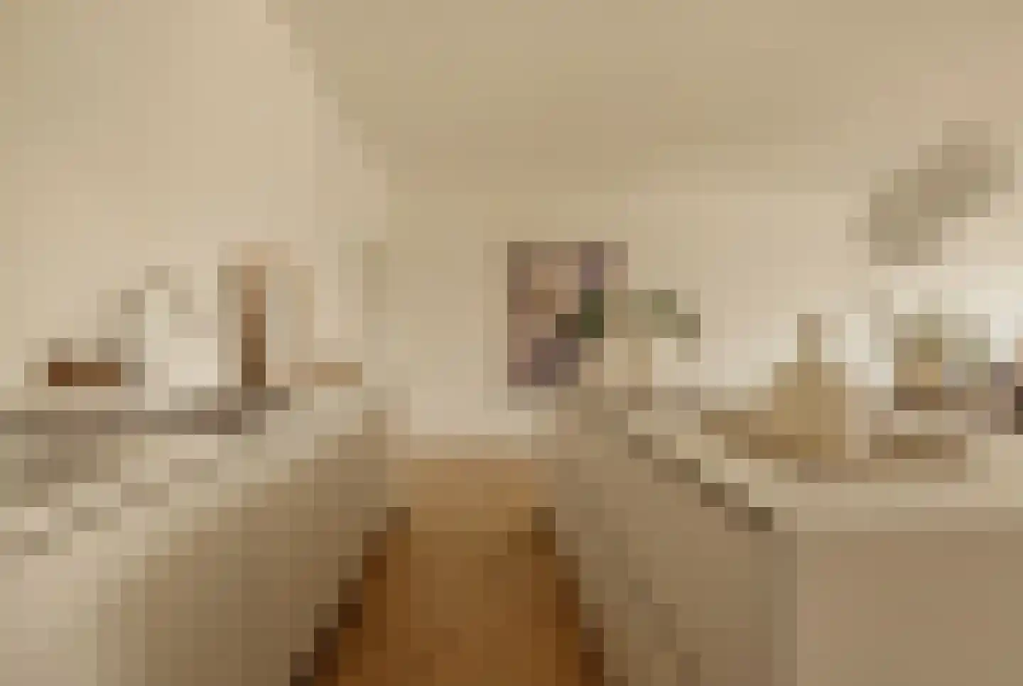 Franz Zieglerstraat 18 Amsterdam thumbnail 14