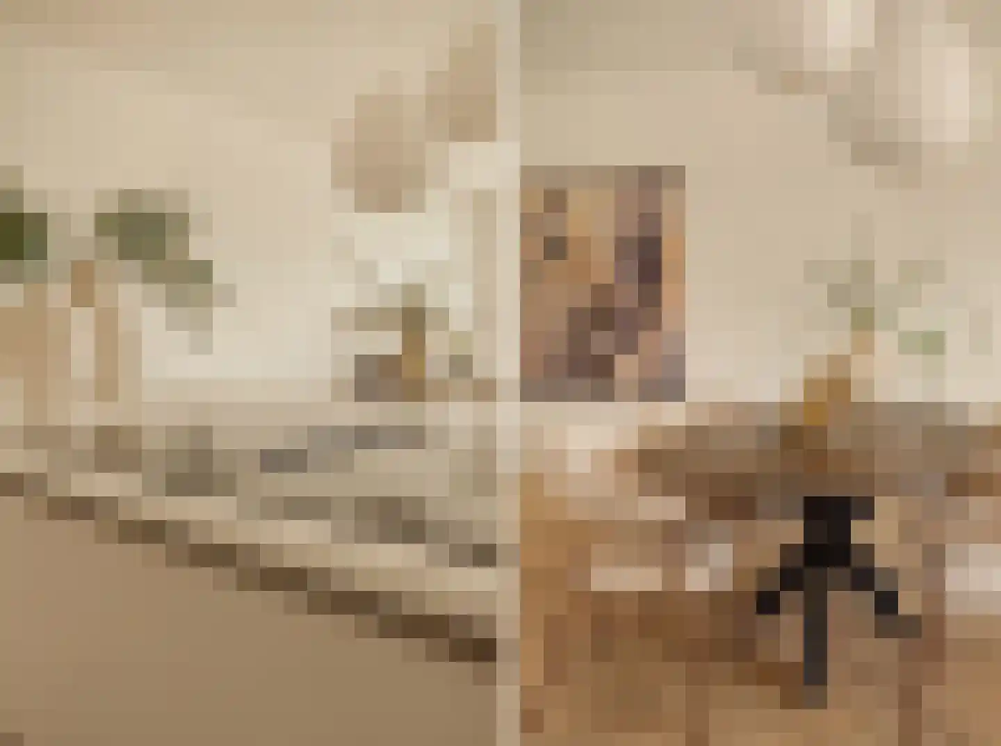 Franz Zieglerstraat 18 Amsterdam thumbnail 16
