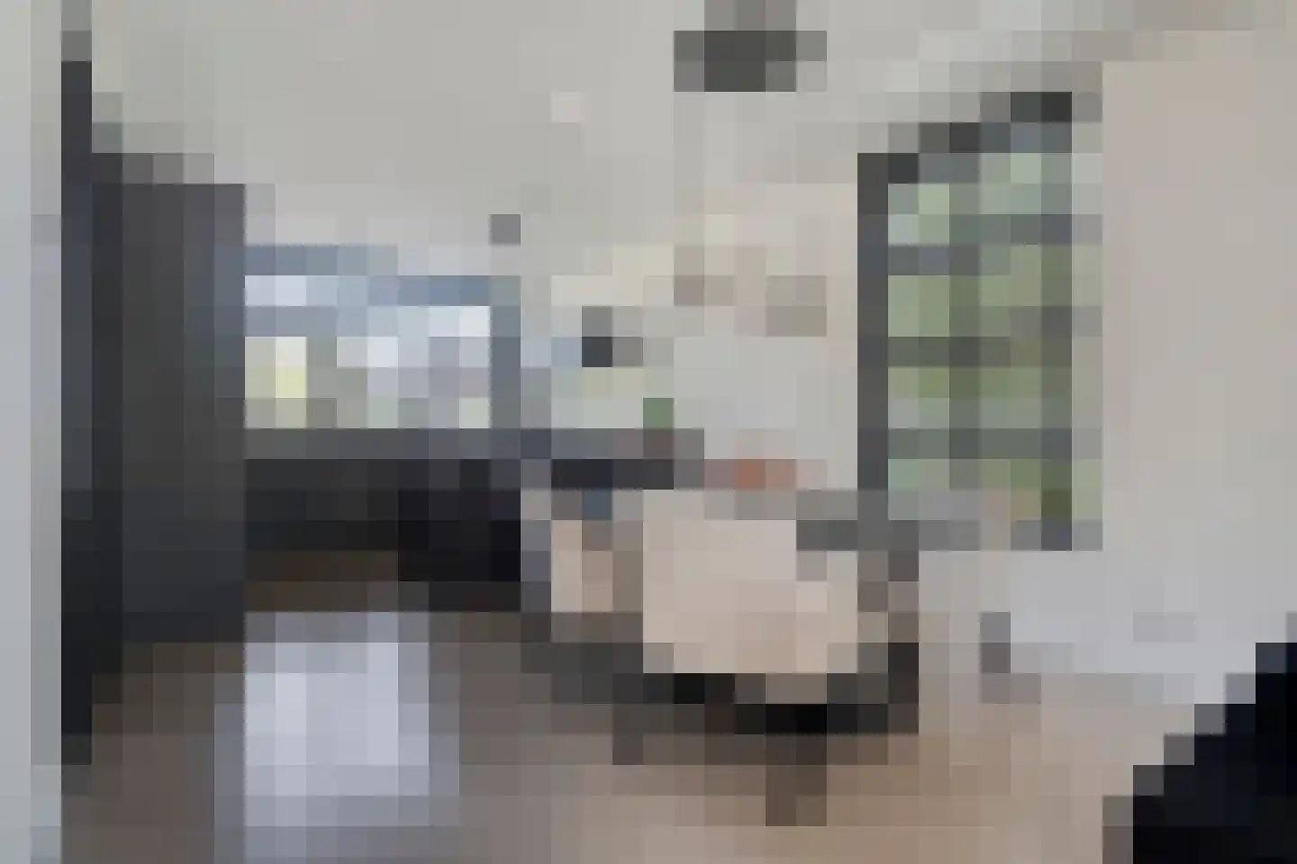 Frascatilaan 1 Oudenbosch thumbnail 15