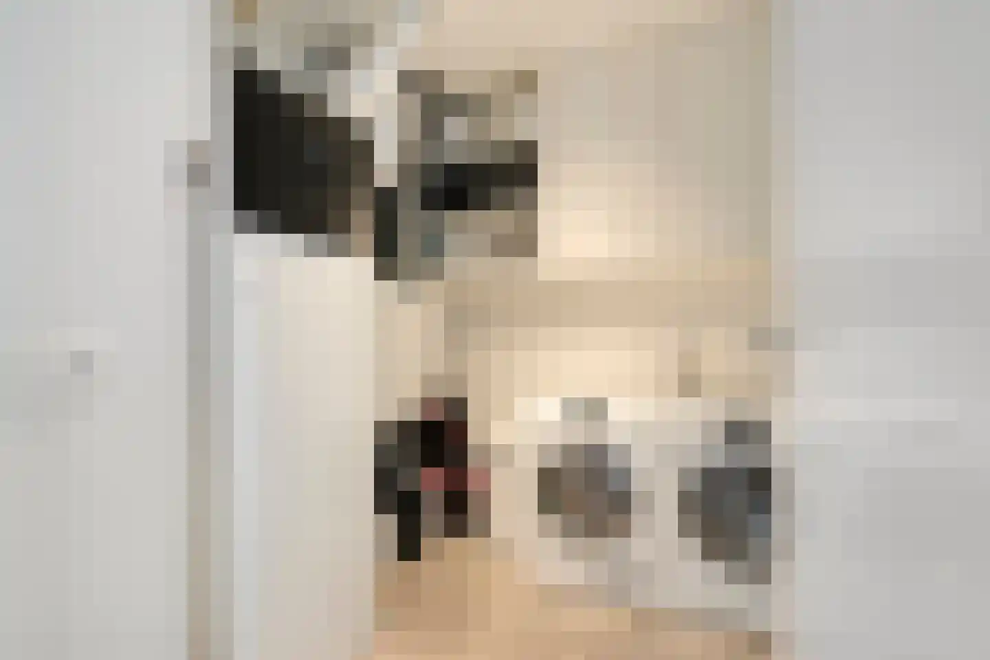 Frascatilaan 1 Oudenbosch thumbnail 20