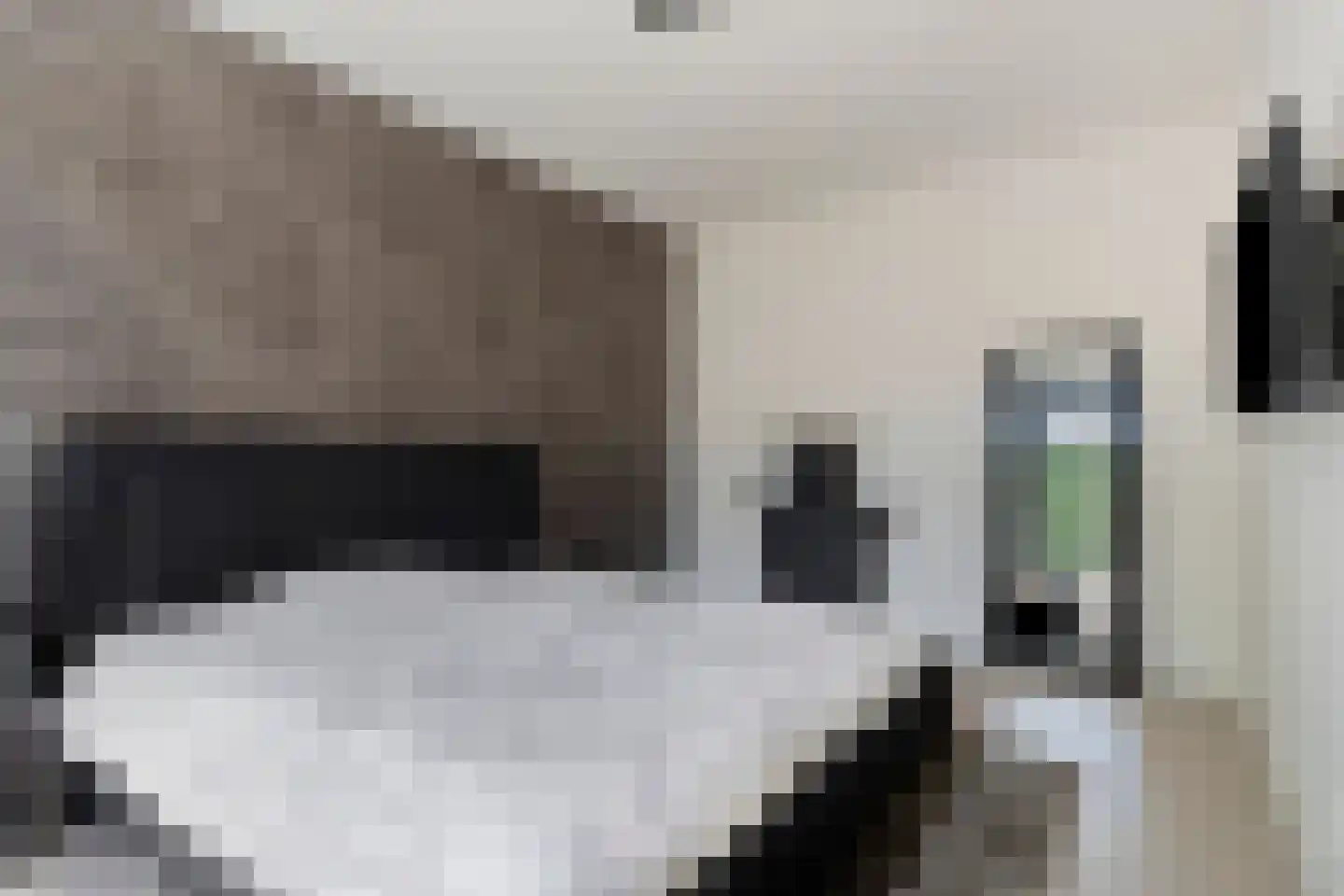 Frascatilaan 1 Oudenbosch thumbnail 22