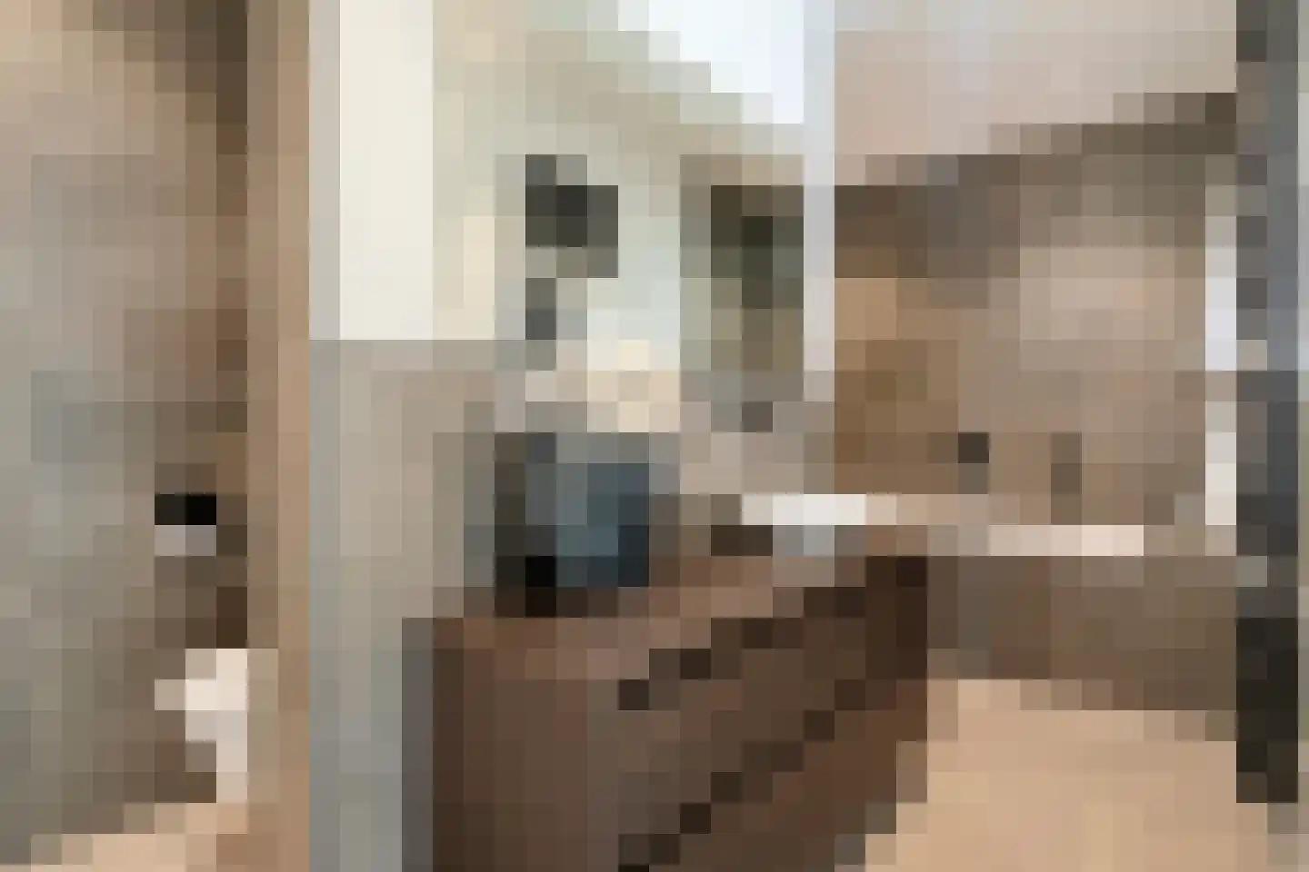 Frascatilaan 1 Oudenbosch thumbnail 27