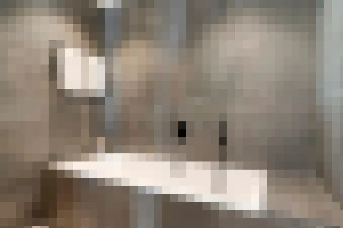 Frascatilaan 1 Oudenbosch thumbnail 29