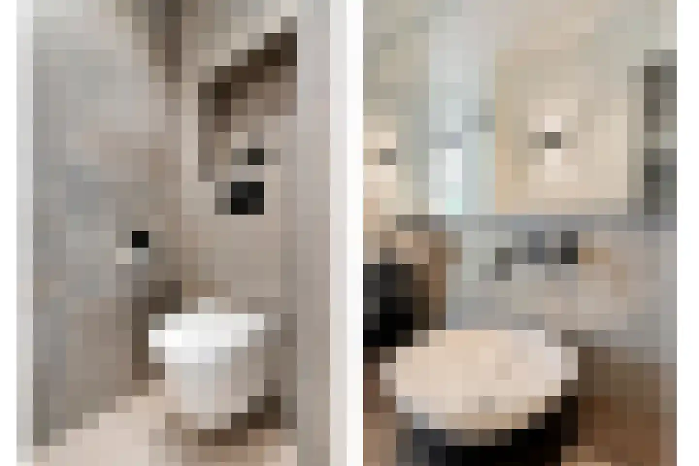 Frascatilaan 1 Oudenbosch thumbnail 31