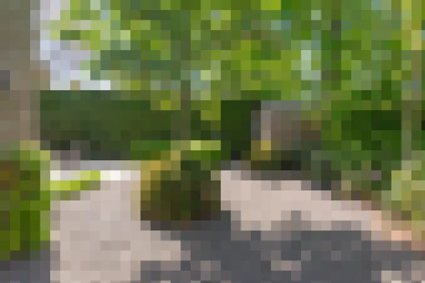 Frascatilaan 1 Oudenbosch thumbnail 38