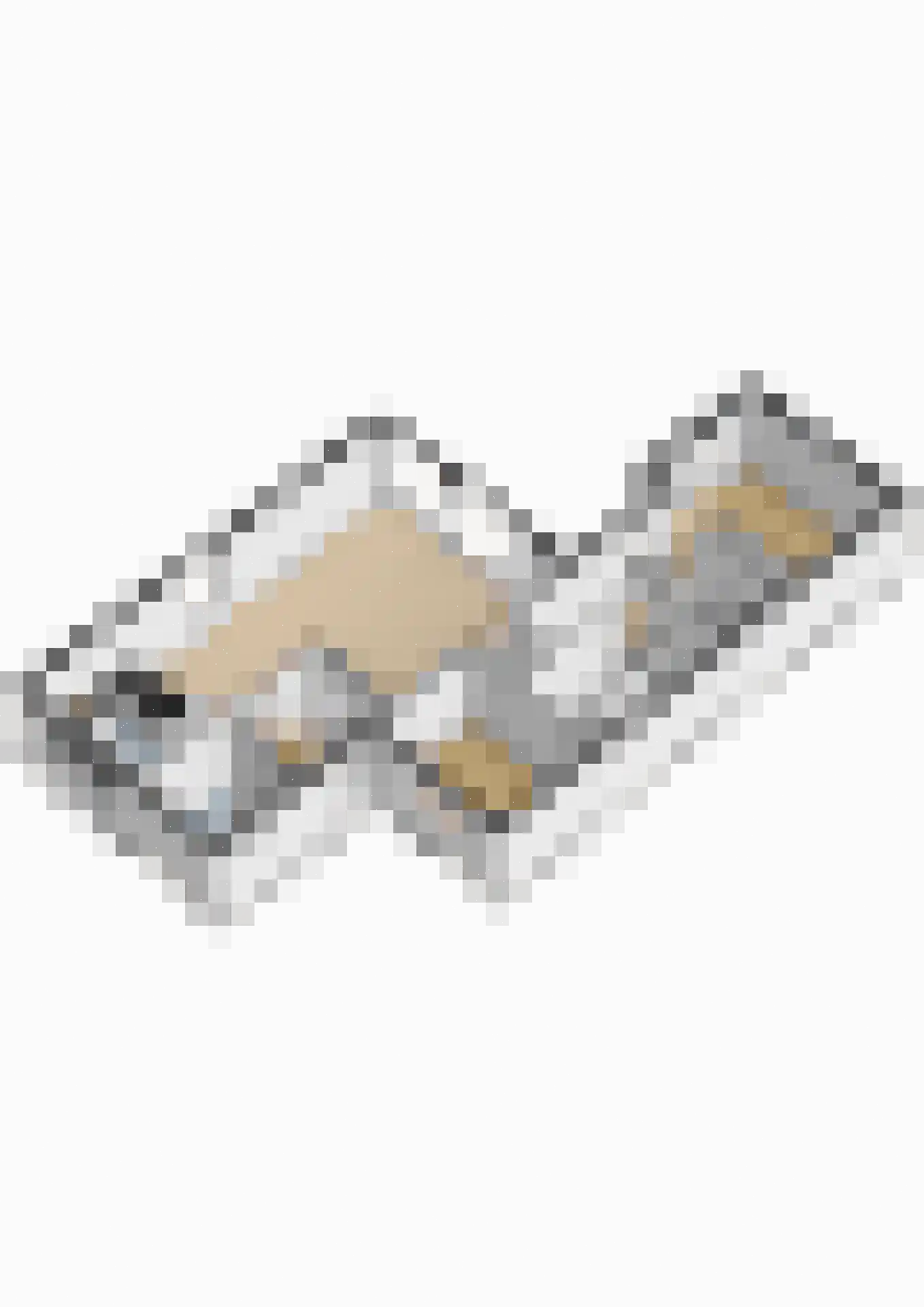 Frascatilaan 1 Oudenbosch thumbnail 42