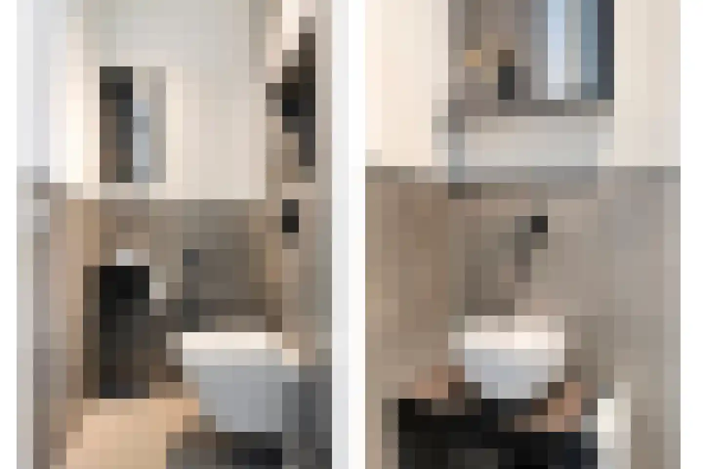 Frascatilaan 1 Oudenbosch thumbnail 7