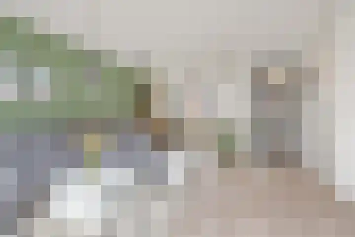 Frascatilaan 26 Oudenbosch thumbnail 14
