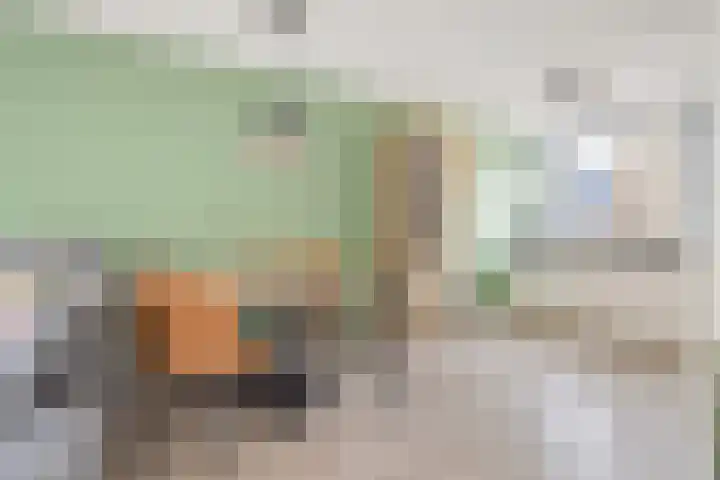 Frascatilaan 26 Oudenbosch thumbnail 15