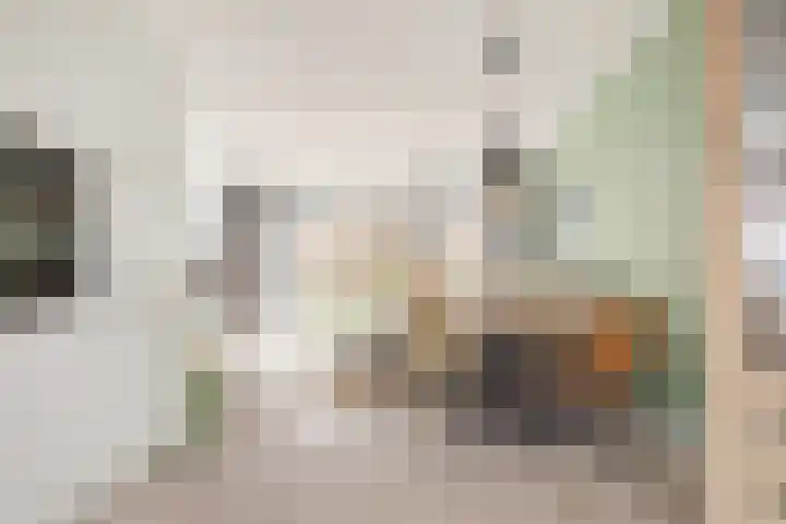Frascatilaan 26 Oudenbosch thumbnail 18