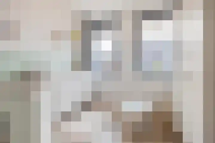 Frascatilaan 26 Oudenbosch thumbnail 24