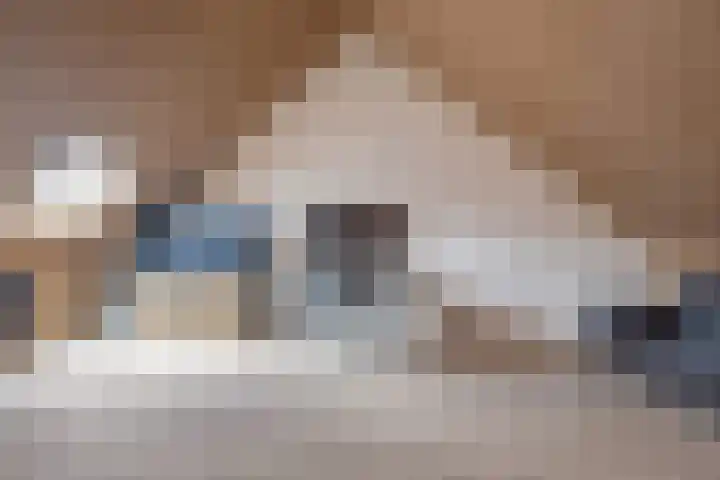 Frascatilaan 26 Oudenbosch thumbnail 29