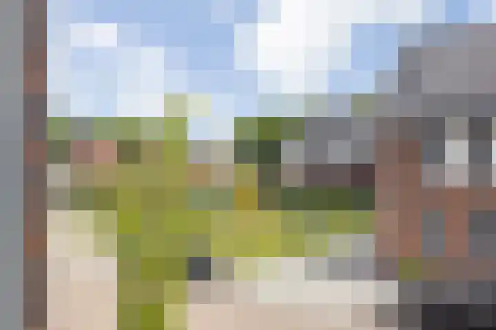 Frascatilaan 26 Oudenbosch thumbnail 33