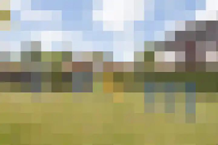 Frascatilaan 26 Oudenbosch thumbnail 34