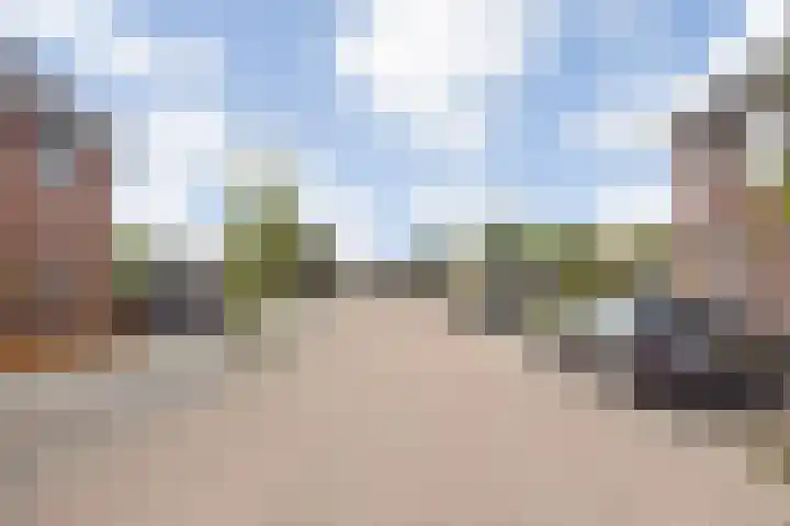 Frascatilaan 26 Oudenbosch thumbnail 7
